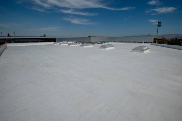 Best Roof Coating and Sealing  in Roslyn Heights, NY